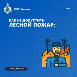 Как не допустить лесной пожар?